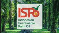 Palm Oil Magazine