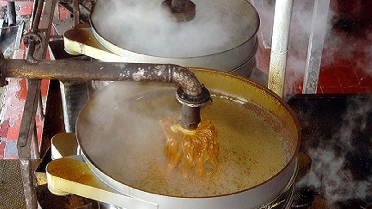 CPO Tender at KPBN Drop 0.49% on 23 October 2023 palm oil magazine