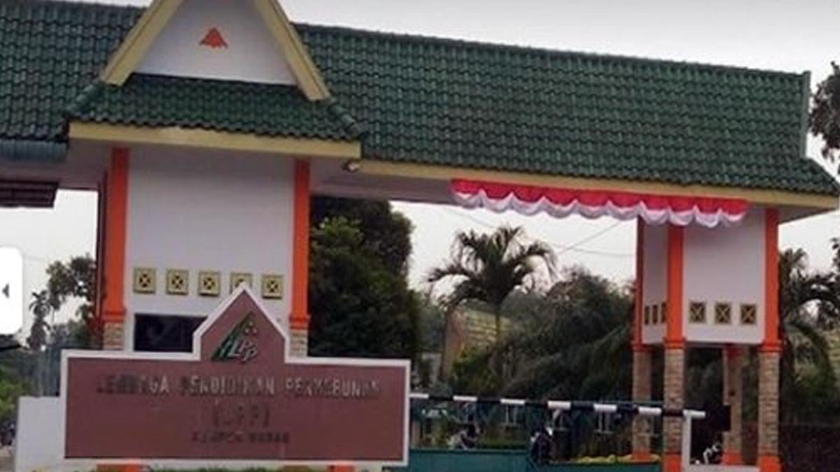 ITSI Students Engage in National Gathering with Palm Oil Smallholders palm oil magazine