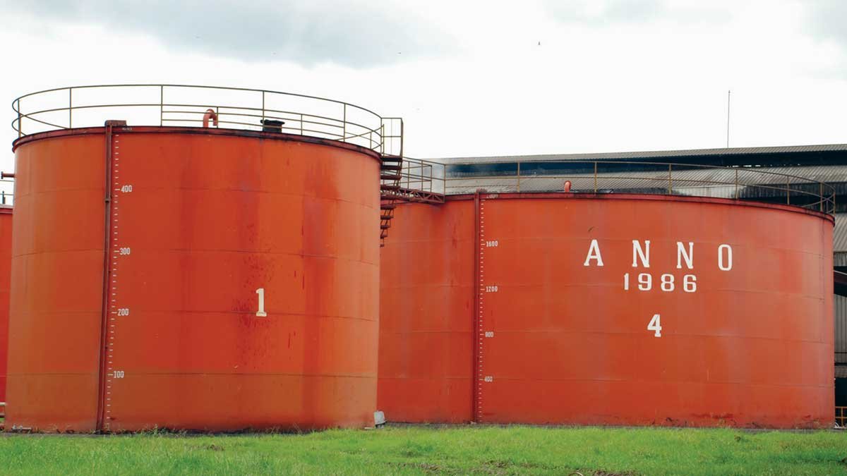 MPOC Optimistic for CPO Price in 2024 to be in the Range of RM4000 per Metric Tons palm oil magazine