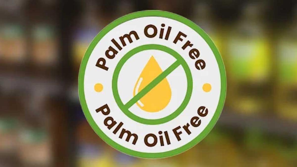 palm oil magazine