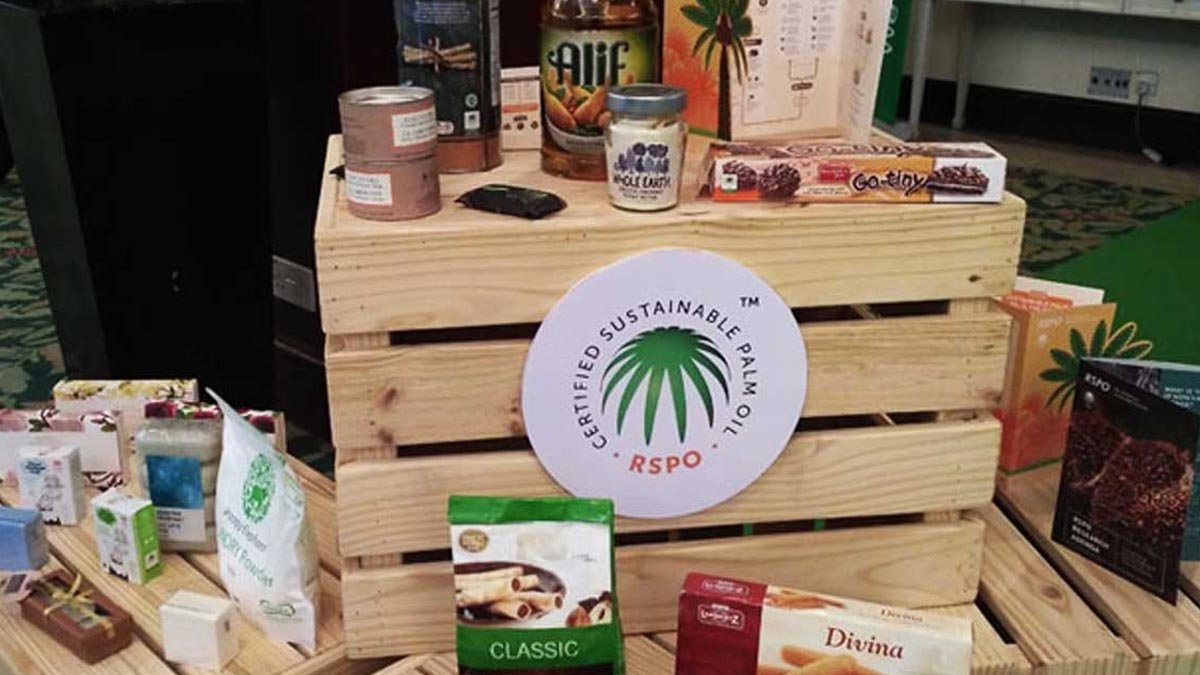 China Has 359 Active Members in RSPO palm oil magazine