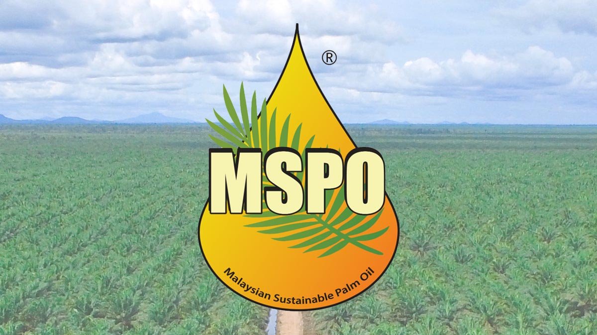 Malaysia Launches MSPO Certified Cooking Oil palm oil magazine