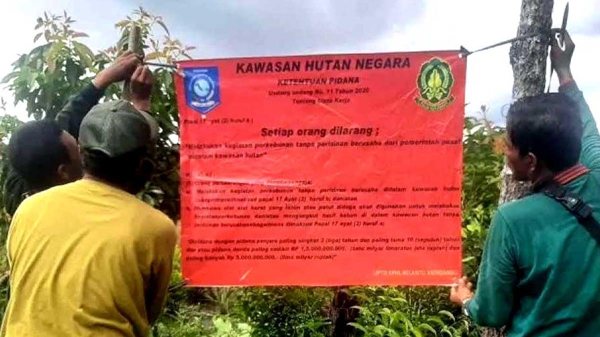 Enforcing Palm Oil Plantation Regulations in Production Forests, KPHL Initiatives in Pelepak Putih Village palm oil magazine