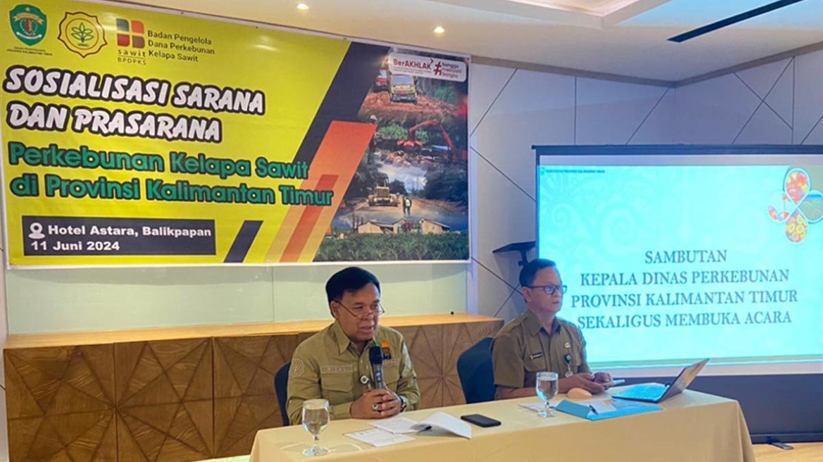 East Kalimantan Plantation Agency Socializes Palm Oil Infrastructure for Smallholders palm oil magazine