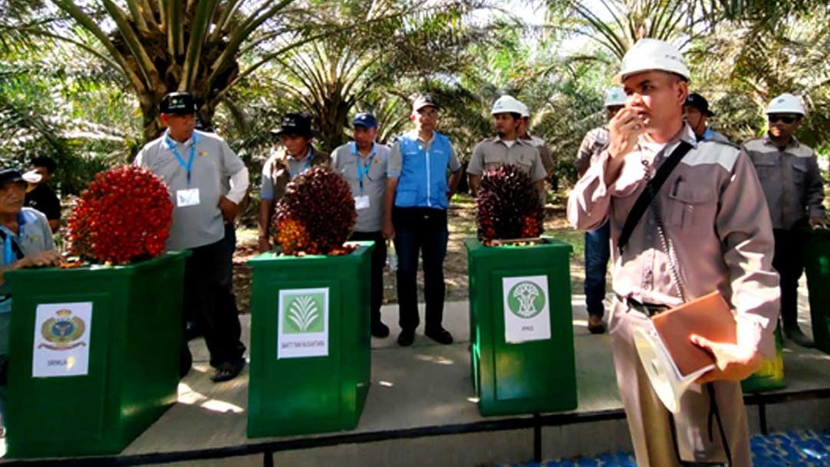 IPB, PFMA, and Agriculture Ministry Hold Palm Oil HR Training in Central Sulawesi palm oil magazine