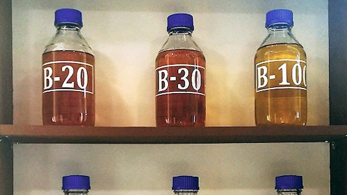 Will the biodiesel program increase the CPO price? palm oil magazine