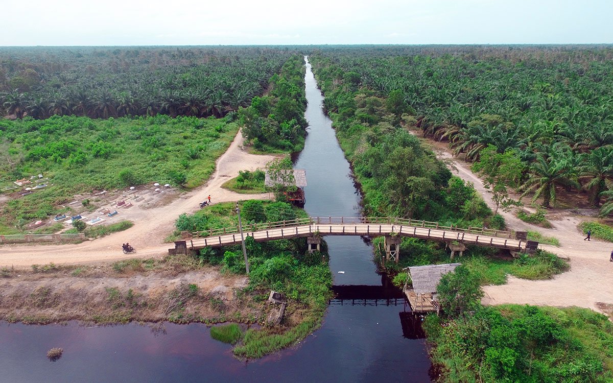 Rejang Lebong Allocates Palm Oil Profit Sharing Funds for Plantation Data and Infrastructure Palm Oil Magazine