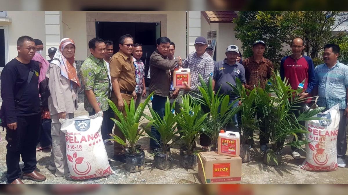 East Kalimantan Plantation Agency Distributes Palm Oil Seeds and Fertilizers to Smallholders in Penajam Paser Utara Palm Oil Magazine