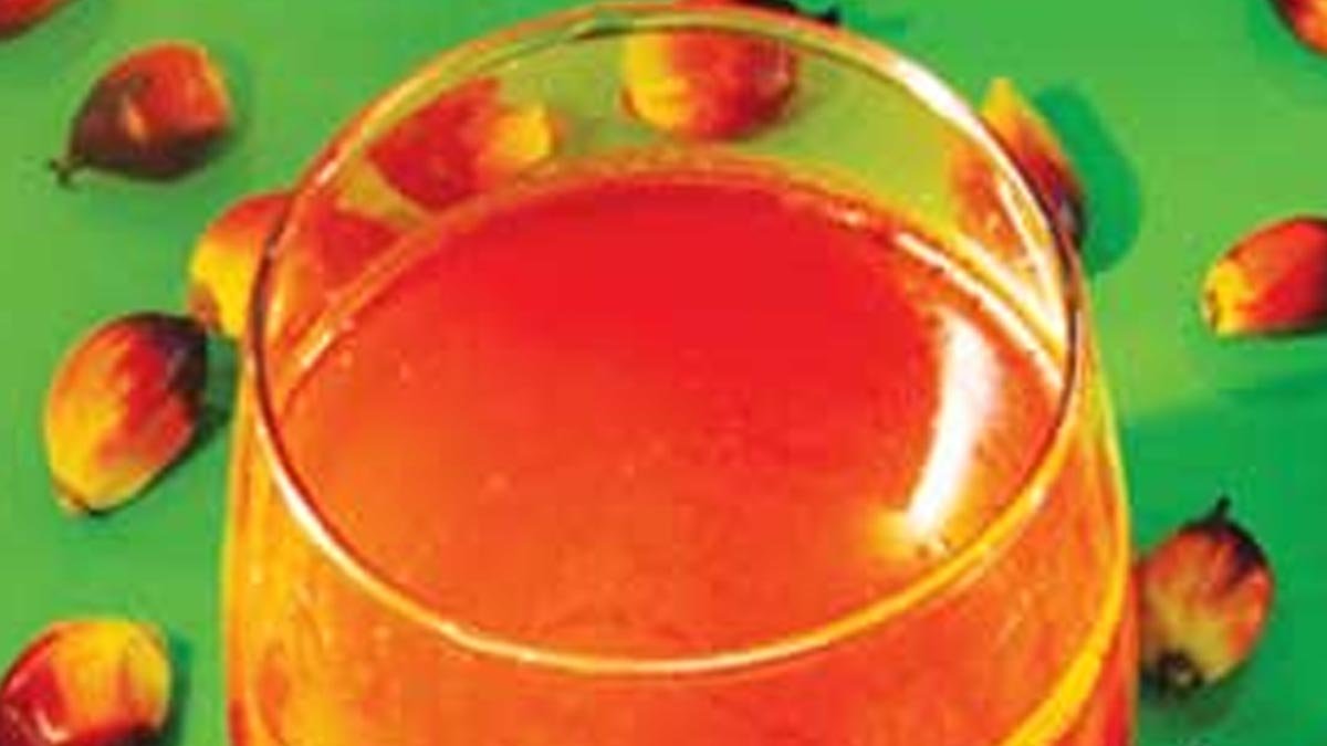 CPO Price at KPBN Inacom Rises 1.48% on Friday (25/10), Weekly Average Up 2.29% Palm Oil Magazine