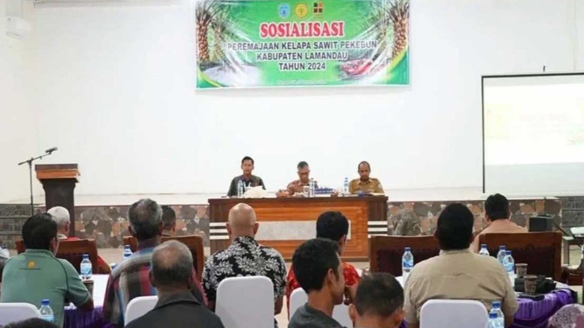 Lamandau Regency Socializes Smallholders Replanting Program (SRP) Palm Oil Magazine