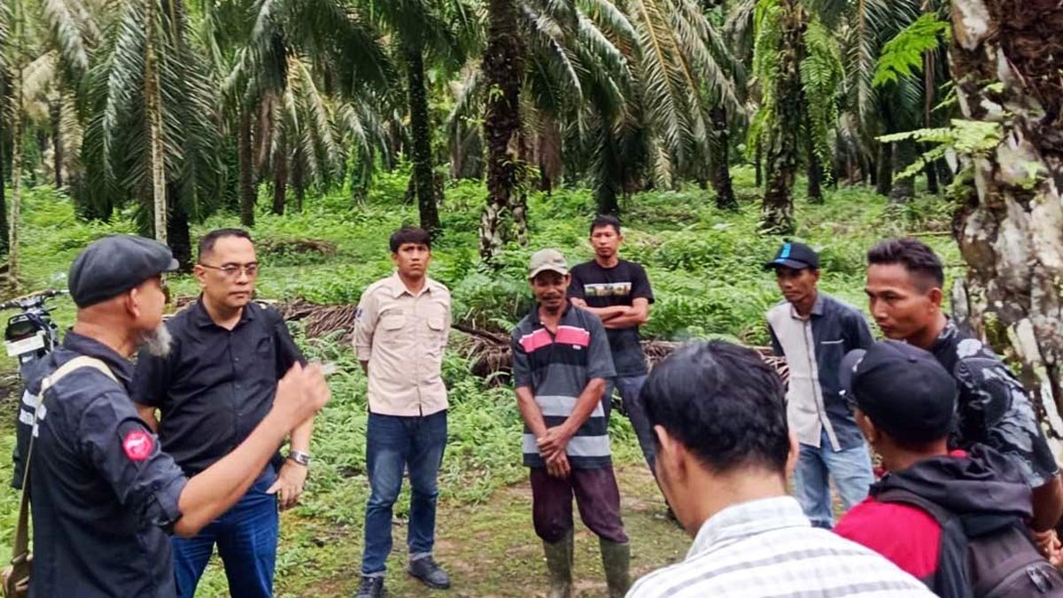 RSPO and IDH Indonesia Collaborate to Enhance Smallholder Participation in Aceh Tamiang's Sustainable Palm Oil Supply Chain Palm Oil Magazine