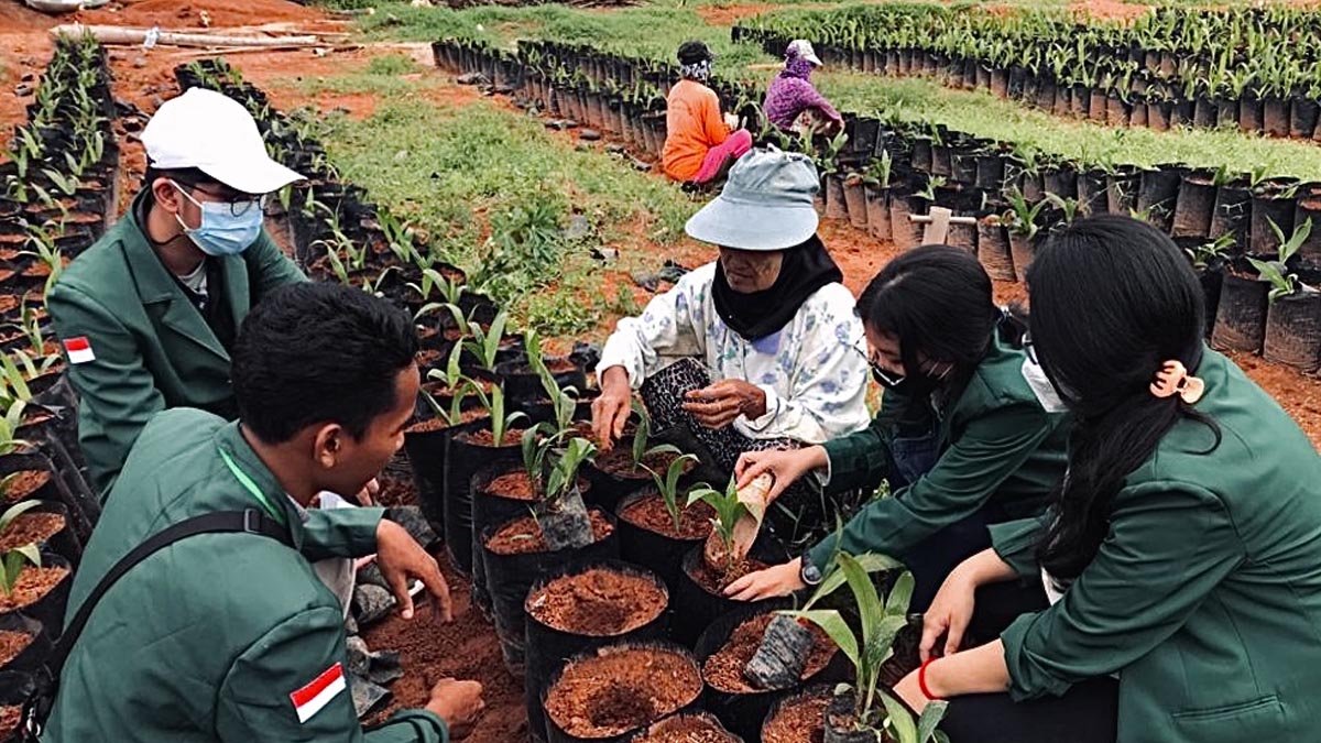 IPS Webinar Explores Millennial and Gen Z Perspectives on Palm Oil Sustainability and Career Opportunities Palm Oil Magazine