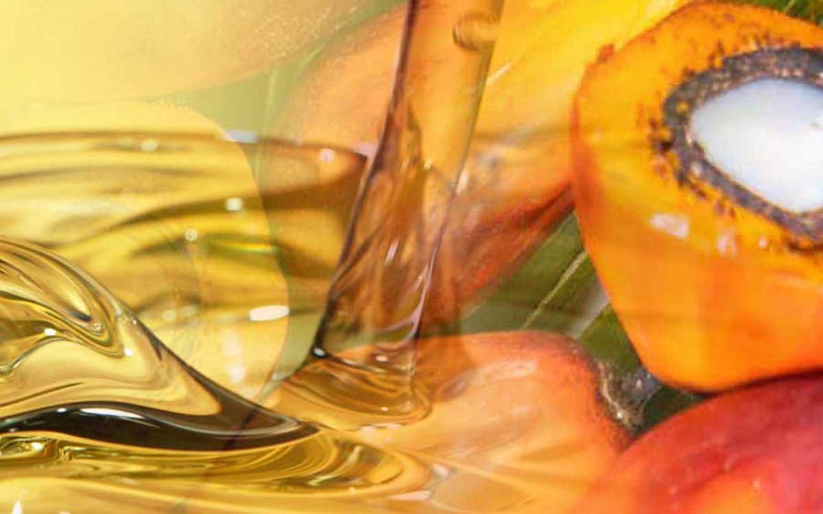 Palm Oil No Longer the World’s Cheapest Edible Oil Palm Oil Magazine