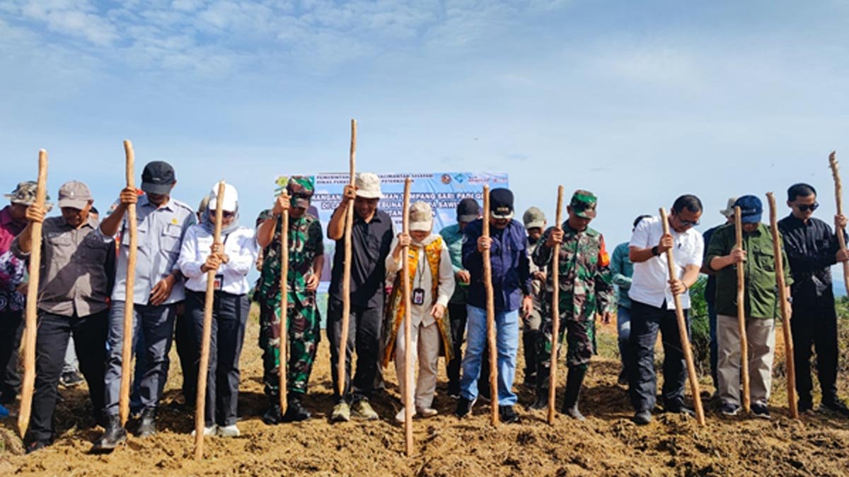 Ministry of Agriculture Promotes Paddy Gogo Intercropping in Palm Plantations to Boost Food Sustainability Palm Oil Magazine