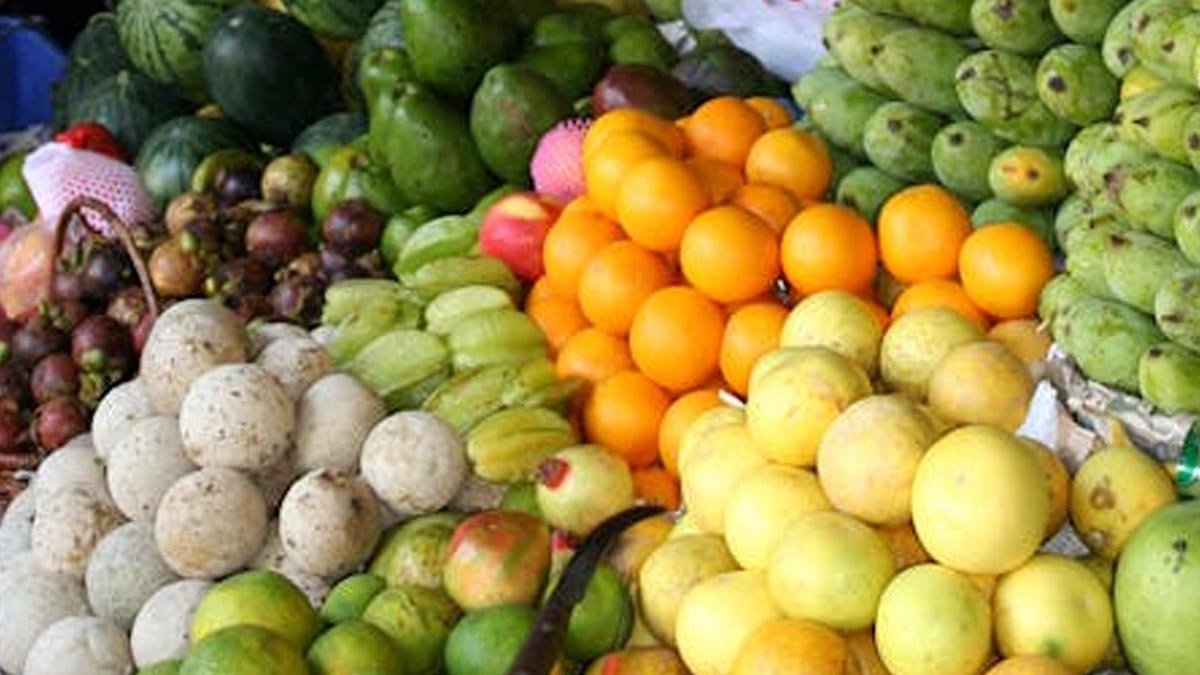 Palm-Based Glossy Coating Innovation: A Sustainable Solution for Modern Agroindustry Palm Oil Magazine