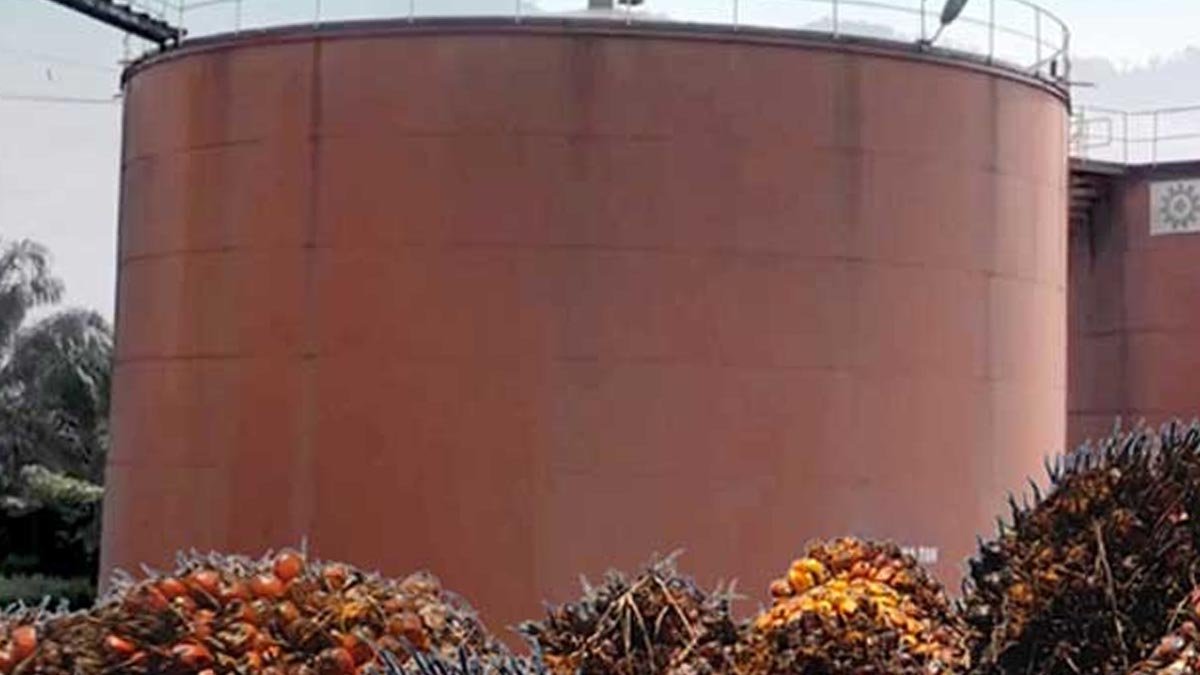 Palm Oil Prices Dip Slightly in Indonesia, Trade Tightens in Malaysia on Thursday (April 24) Palm Oil Magazine