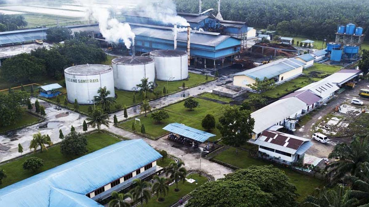 CSRA Prepares for 2025 Palm Oil Industry Challenges and Opportunities with Aggressive Growth Strategy Palm Oil Magazine