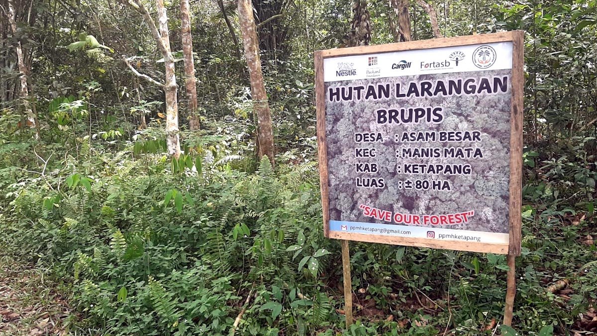 FORTASBI and BenihBaik Launch Forest Conservation Fundraising Campaign in Ketapang Palm Oil Magazine