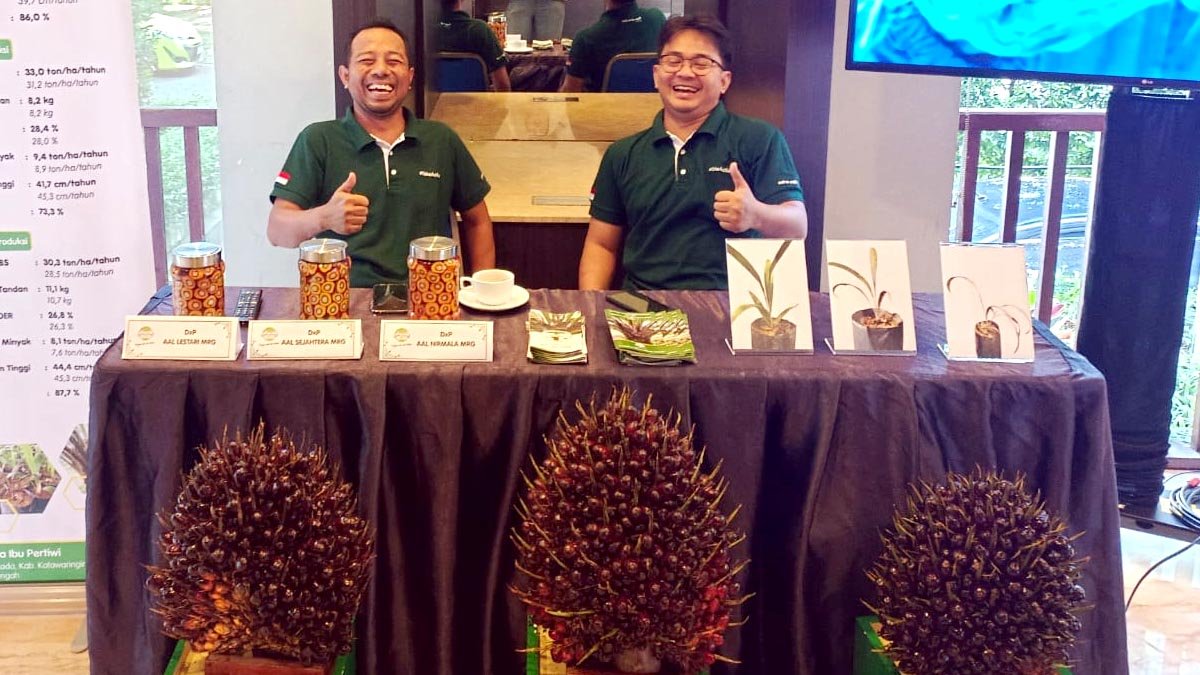 Indonesia Approves Six New Superior Plantation Crop Varieties to Boost Agricultural Resilience and Innovation Palm Oil Magazine