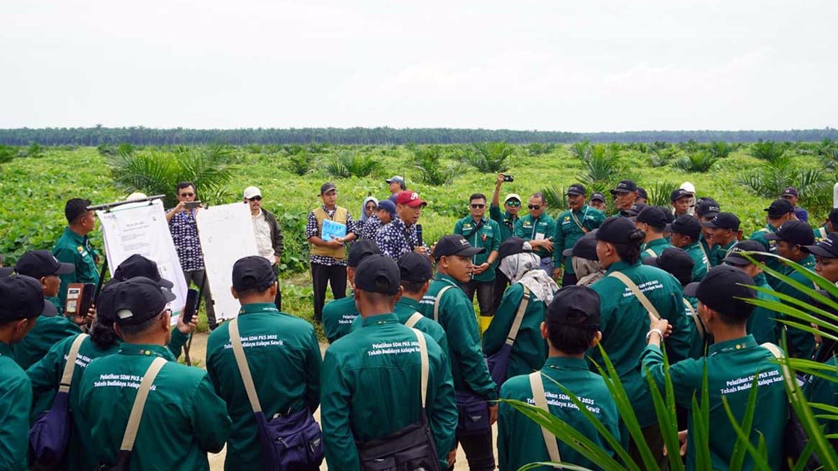 Batubara Oil Palm Farmers Visit SIPEF Estate Through BPDP Training Program — Learning from the Best Palm Oil Magazine