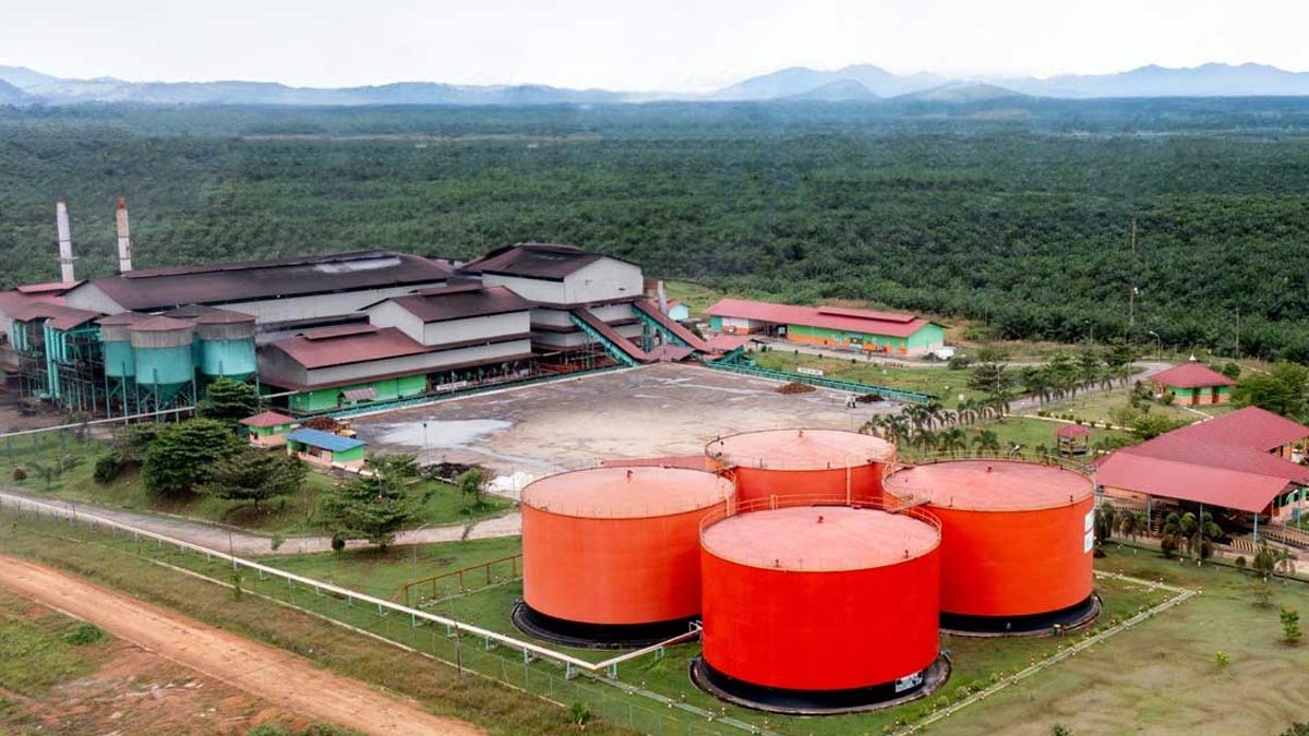 Bumitama Agri Leads on Traceability and Inclusion in Palm Oil Industry Palm Oil Magazine