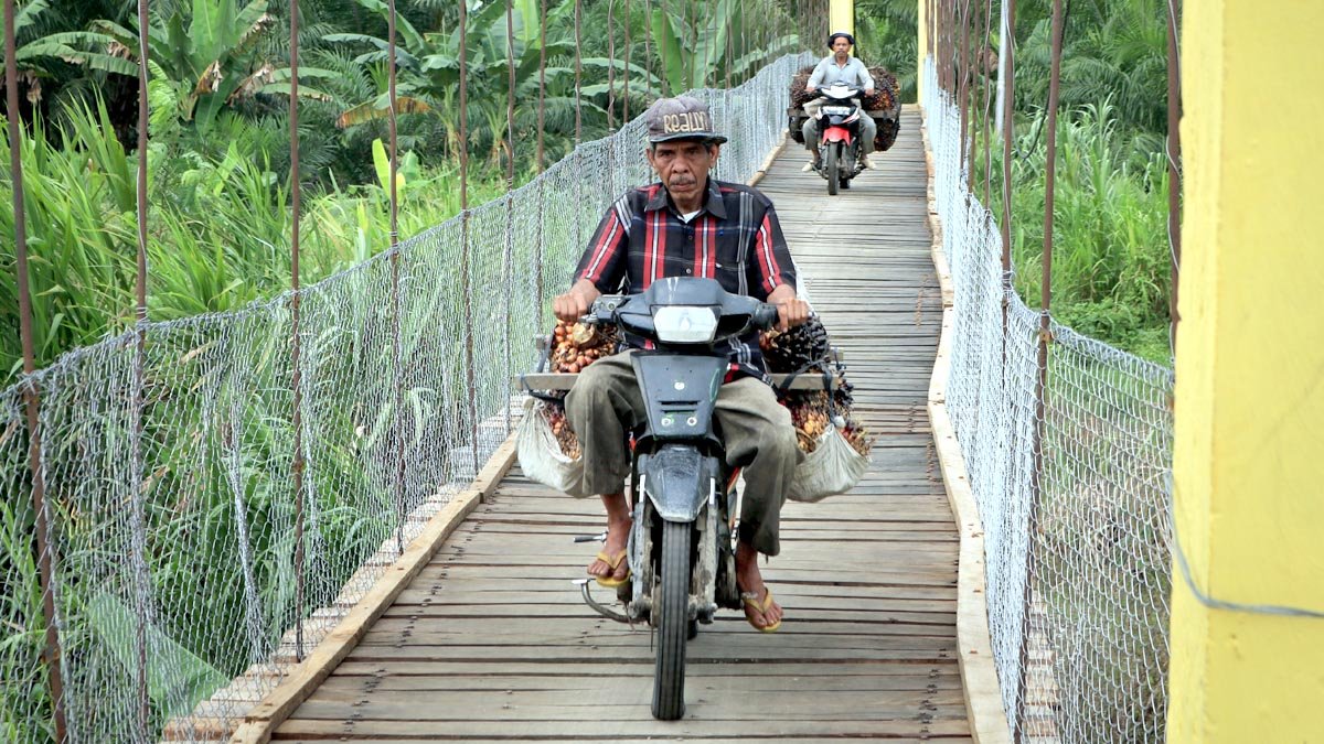 Riau’s Independent FFB Price Rises by Rp70.05 per Kg for July 23–29, 2025 Period Palm Oil Magazine