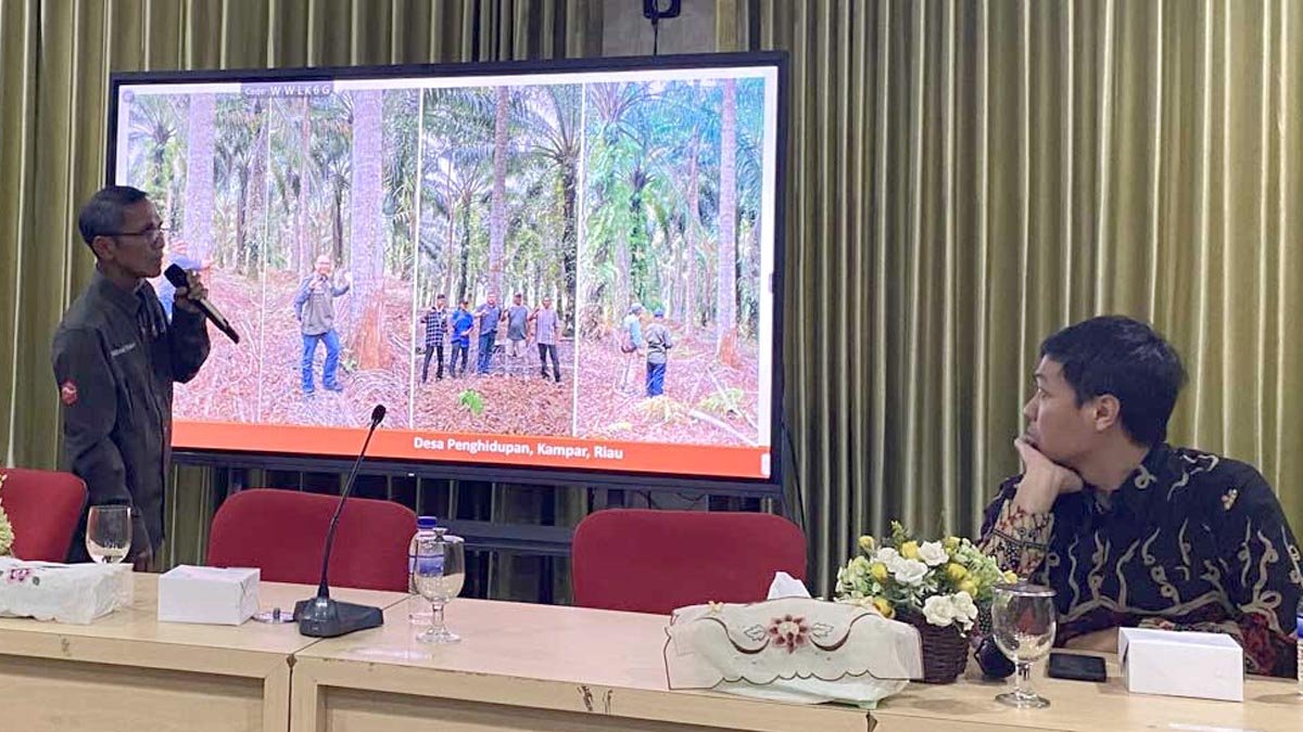 Agroforestry School in Jambi Promotes Palm-Based Forest Restoration Palm Oil Magazine