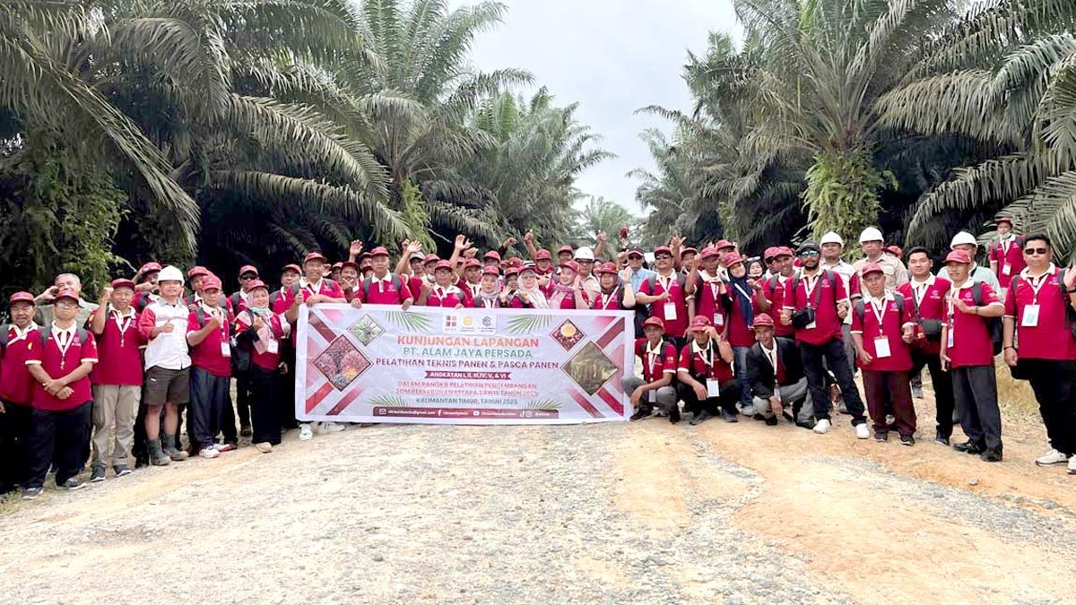 BPDP and Ditjenbun Boost Productivity Through Harvest & Post-Harvest Training in Paser Palm Oil Magazine