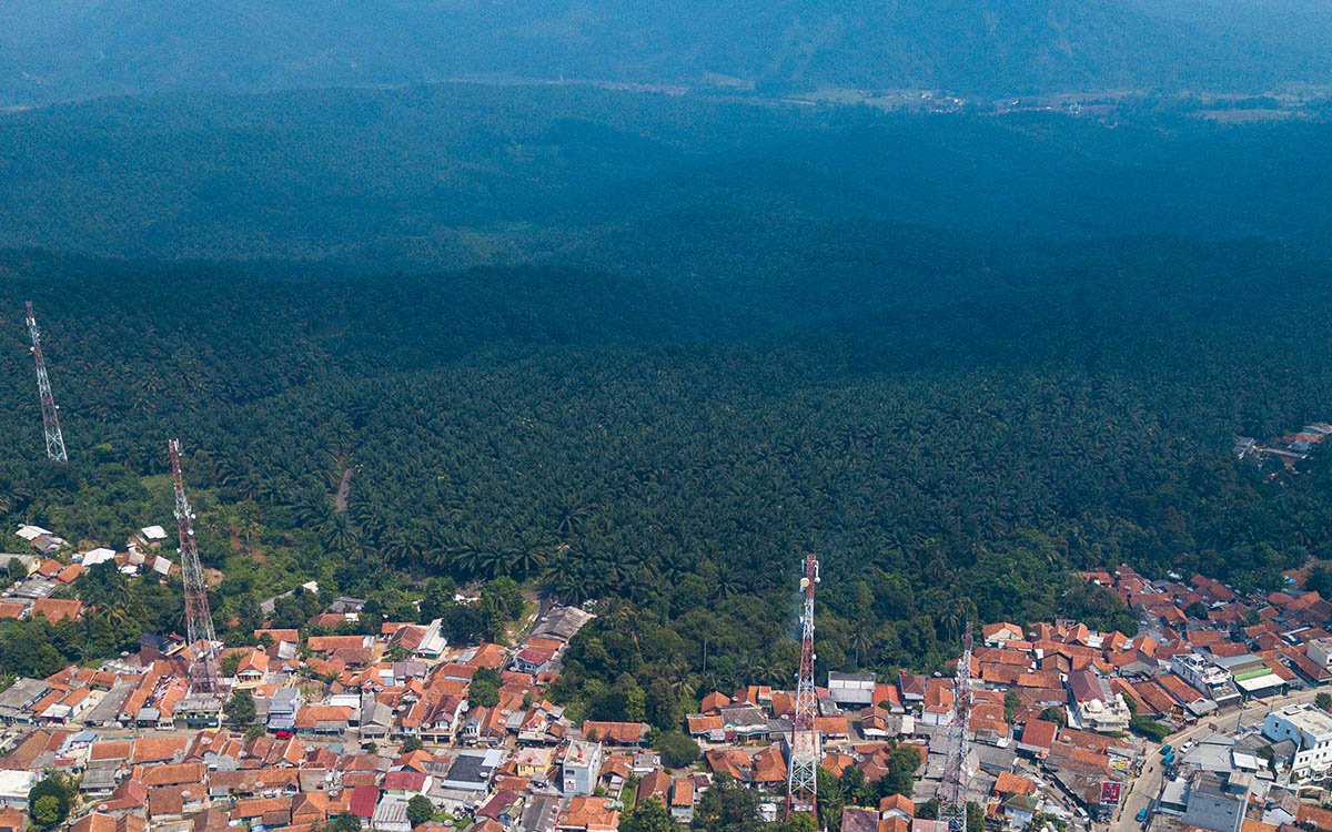 Not Just Business: Sinar Mas Says Climate Change Mitigation Is Key to Survival in Palm Oil Industry Palm Oil Magazine