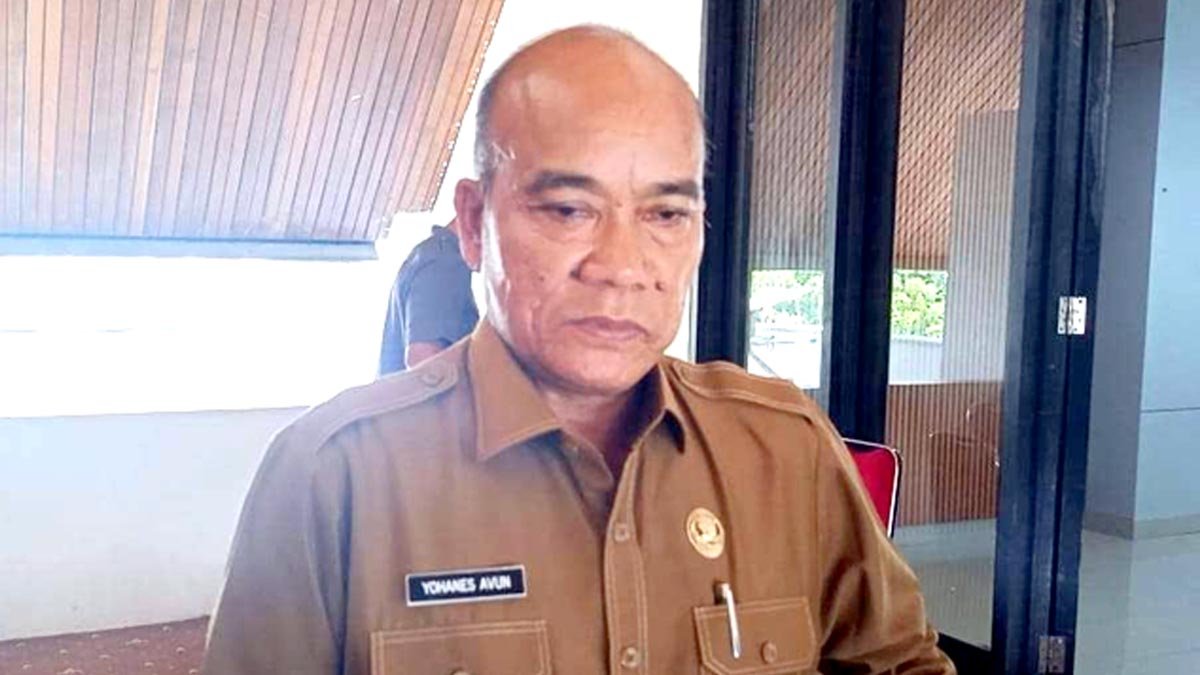 Mahakam Ulu Government Requires Palm Oil Companies to Report Business License Realization Every Three Months Palm Oil Magazine