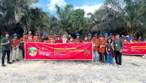 Palm Oil Magazine