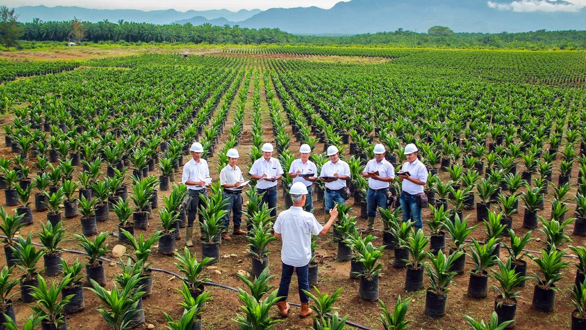 From Classroom to Plantation: A Guide to Becoming an Excellent Planter Palm Oil Magazine