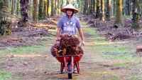 Palm Oil Magazine