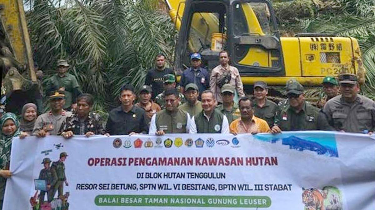 59 Hectares of Illegal Oil Palm Cleared in Gunung Leuser National Park as Government Begins Forest Restoration Palm Oil Magazine