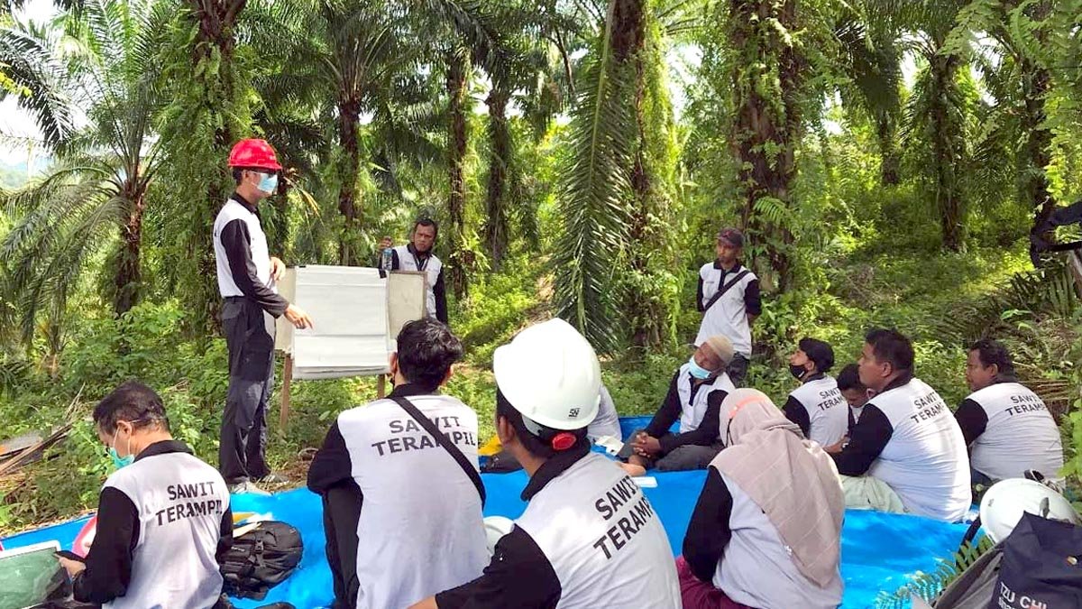 Building Trust, Creating Impact; The Story of Sustainable Palm Partnerships at Sinar Mas Agribusiness and Food Palm Oil Magazine