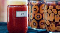 Palm Oil Magazine