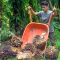 Palm Oil Magazine