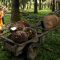 Palm Oil Magazine