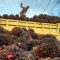 Palm Oil Magazine