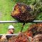 Palm Oil Magazine