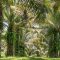 Palm Oil Magazine
