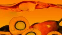 Palm Oil Magazine