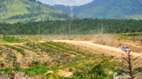 Palm Oil Magazine