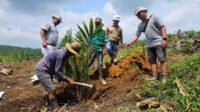 From Independent to Empowered Partners: Palm Oil Farmers Advancing Toward Sustainable Prosperity Palm Oil Magazine