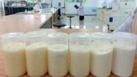 UTU Students Develop Palm Oil-Based Bigels, A Healthier Fat Alternative for Bakery Products Palm Oil Magazine