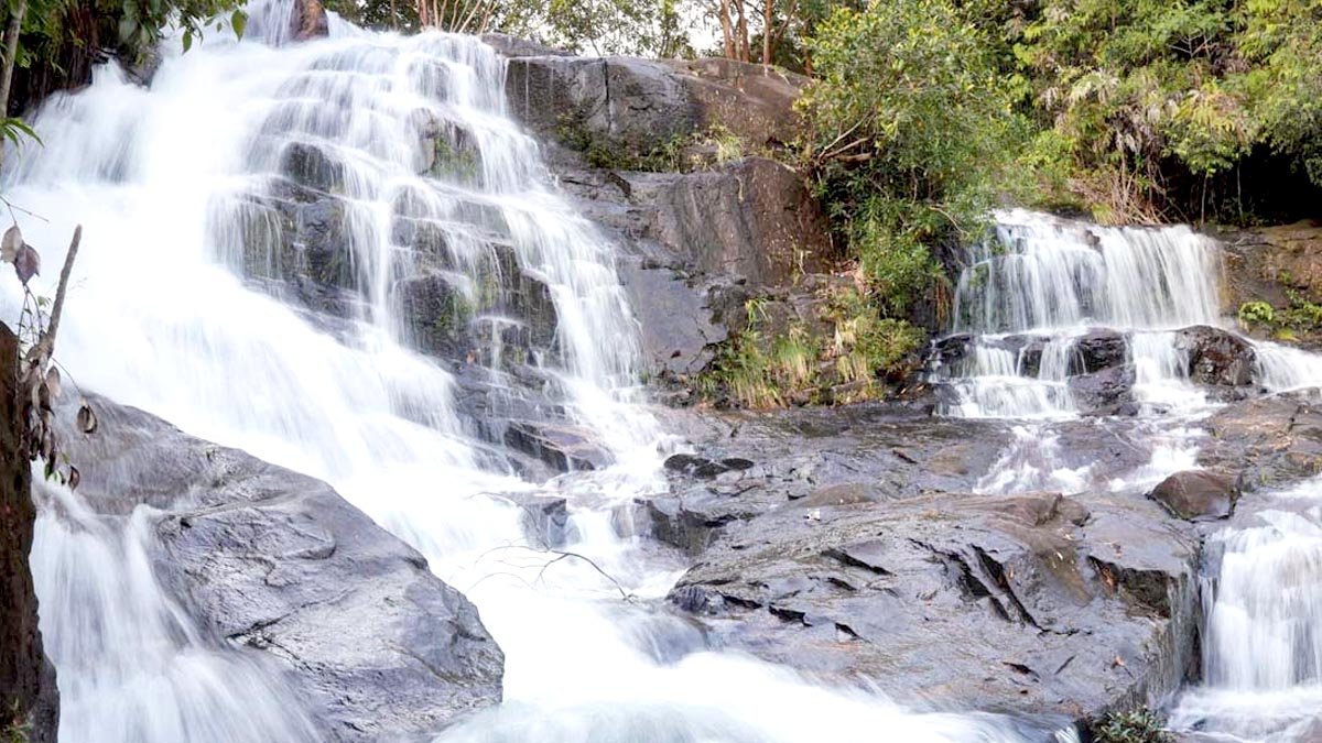 Bumitama and Local Villages Turn Forests Into Thriving Ecotourism Hubs Palm Oil Magazine