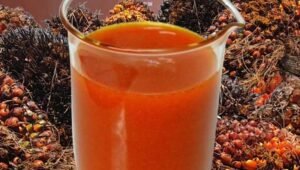 Palm Oil Magazine, CPO Price