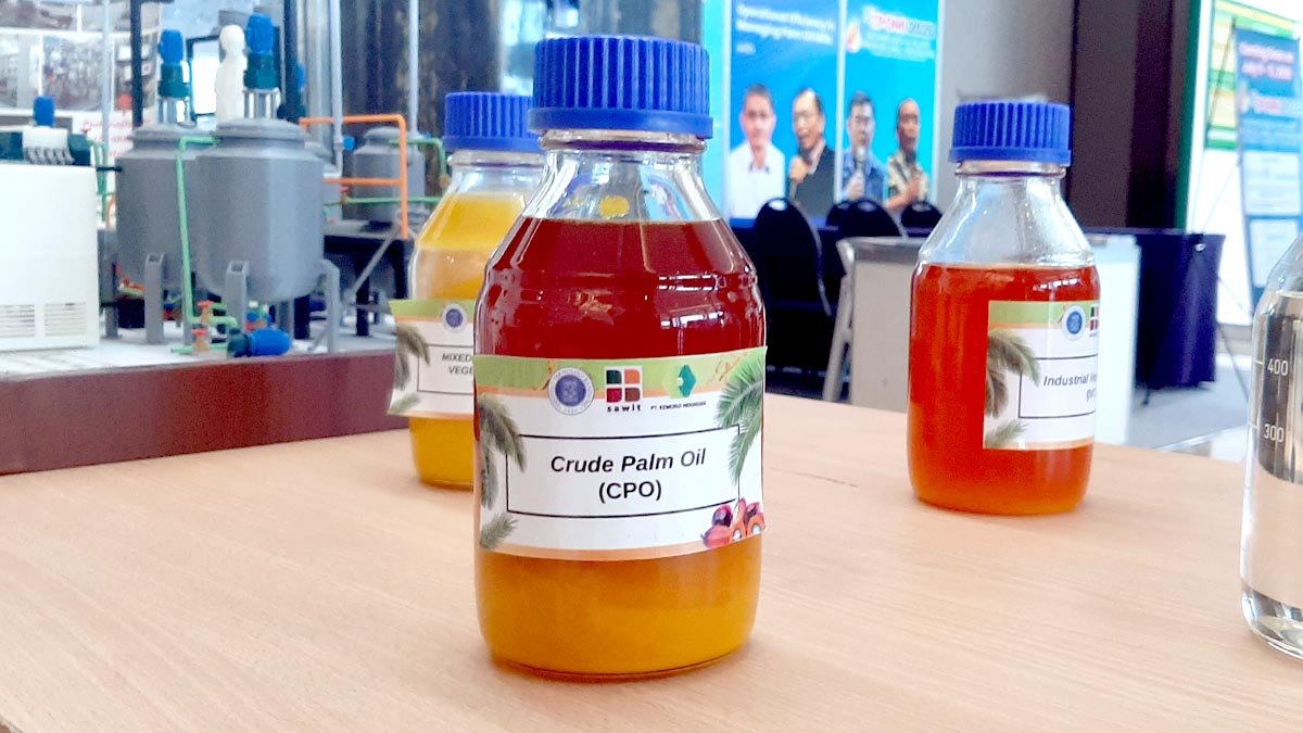 Palm Oil Magazine, CPO Price