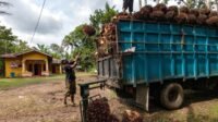 RSPO Strengthens Governance with New Executive Committee to Boost Global Efficiency and Farmer Support Palm Oil Magazine